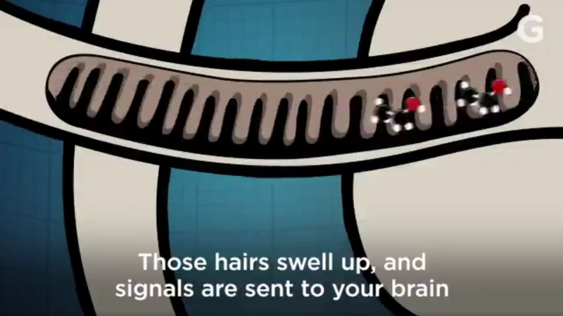 An image that shook me